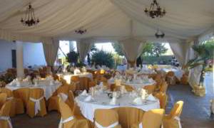 Carpas para bodas